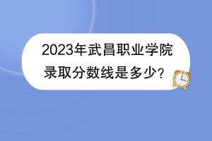 2023年武昌职业学院录取分数线是多少？