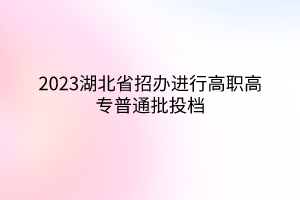 2023湖北省招办进行高职高专普通批投档 2023湖北省招办进行高职高专普通批投档