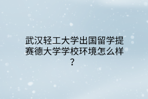武汉轻工大学出国留学提赛德大学学校环境怎么样？