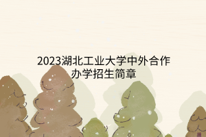 2023湖北工业大学中外合作办学招生简章