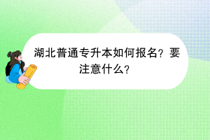 湖北普通专升本如何报名？要注意什么？