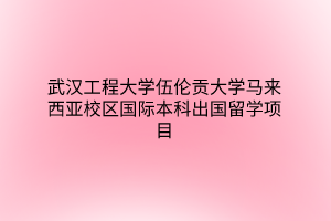 武汉工程大学伍伦贡大学马来西亚校区国际本科出国留学项目