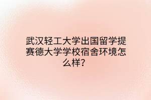 武汉轻工大学出国留学提赛德大学学校宿舍环境怎么样? 武汉轻工大学出国留学提赛德大学学校宿舍环境怎么样?