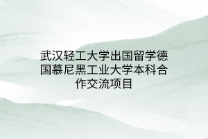 武汉轻工大学出国留学德国慕尼黑工业大学本科合作交流项目
