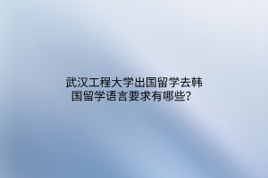 武汉工程大学出国留学去韩国留学语言要求有哪些？