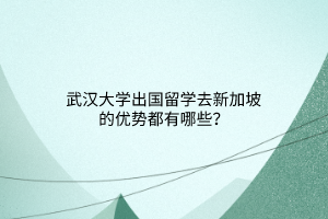 武汉大学出国留学去新加坡的优势都有哪些？