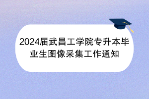 2024届武昌工学院专升本毕业生图像采集工作通知