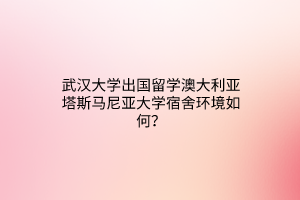 武汉大学出国留学澳大利亚塔斯马尼亚大学宿舍环境如何？