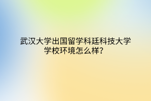 武汉大学出国留学科廷科技大学学校环境怎么样？
