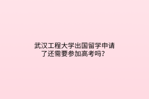 武汉工程大学出国留学申请了还需要参加高考吗？