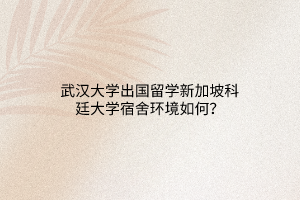 武汉大学出国留学新加坡科廷大学宿舍环境如何？