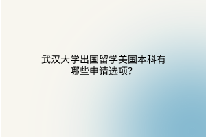 武汉大学出国留学美国本科有哪些申请选项？