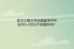 武汉工程大学出国留学中外合作3+1可以不去国外吗？