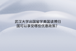武汉大学出国留学美国读博归国可以享受哪些优惠政策？