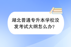 湖北普通专升本学校没发考试大纲怎么办？