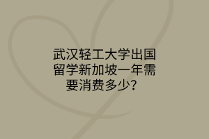 武汉轻工大学出国留学新加坡一年需要消费多少？