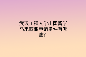 武汉工程大学出国留学马来西亚申请条件有哪些？