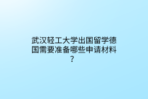 武汉轻工大学出国留学德国需要准备哪些申请材料？