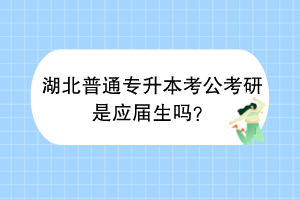 湖北普通专升本考公考研是应届生吗？