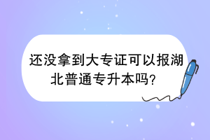 还没拿到大专证可以报湖北普通专升本吗？