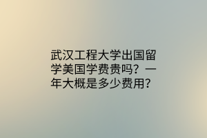 武汉工程大学出国留学美国学费贵吗？一年大概是多少费用？
