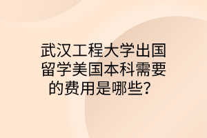 武汉工程大学出国留学美国本科需要的费用是哪些？