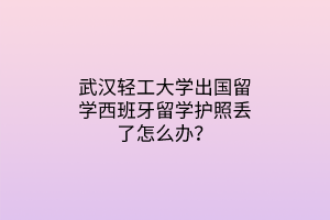 武汉轻工大学出国留学西班牙留学护照丢了怎么办？