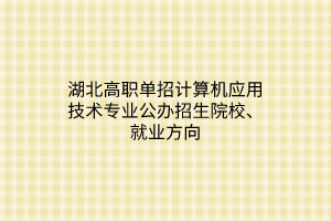 湖北高职单招计算机应用技术专业公办招生院校、就业方向