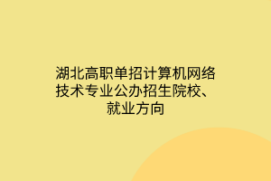 湖北高职单招计算机网络技术专业公办招生院校、就业方向