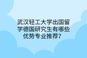 武汉轻工大学出国留学德国研究生有哪些优势专业推荐？