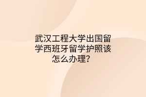 武汉工程大学出国留学西班牙留学护照该怎么办理？