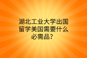 湖北工业大学出国留学美国需要什么必需品？