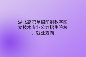 湖北高职单招印刷数字图文技术专业公办招生院校、就业方向