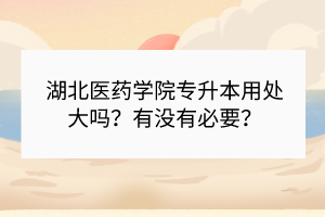 湖北医药学院专升本用处大吗？有没有必要？