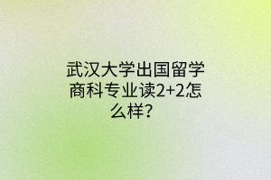武汉大学出国留学商科专业读2+2怎么样？