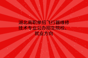 湖北高职单招飞行器维修技术专业公办招生院校、就业方向