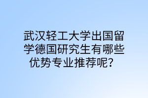武汉轻工大学出国留学德国研究生有哪些优势专业推荐呢？