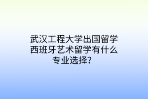 武汉工程大学出国留学西班牙艺术留学有什么专业选择？