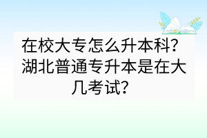 在校大专怎么升本科？湖北普通专升本是在大几考试？