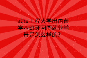武汉工程大学出国留学西班牙回国就业前景是怎么样的？