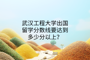 武汉工程大学出国留学分数线要达到多少分以上？