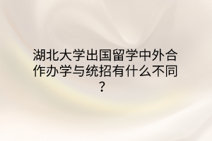 湖北大学出国留学中外合作办学与统招有什么不同？
