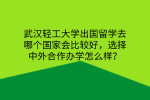 武汉轻工大学出国留学去哪个国家会比较好，选择中外合作办学怎么样？