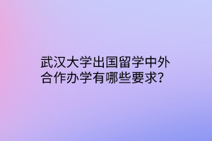 武汉大学出国留学中外合作办学有哪些要求？