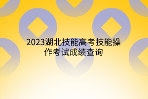 2023湖北技能高考技能操作考试成绩查询