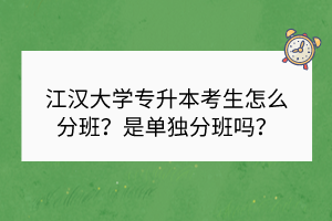 江汉大学专升本考生怎么分班？是单独分班吗？