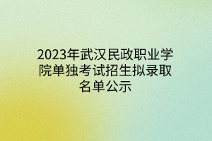 2023年武汉民政职业学院单独考试招生拟录取名单公示