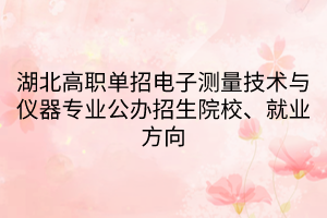 湖北高职单招电子测量技术与仪器专业公办招生院校、就业方向