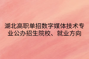 湖北高职单招数字媒体技术专业公办招生院校、就业方向