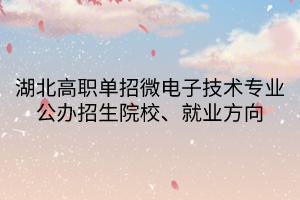 湖北高职单招微电子技术专业公办招生院校、就业方向